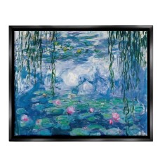 زنابق الماء